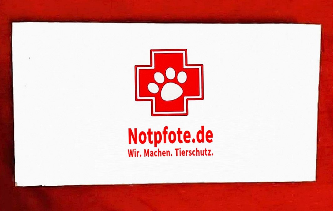 Tierschutz oder Tierschmutz?