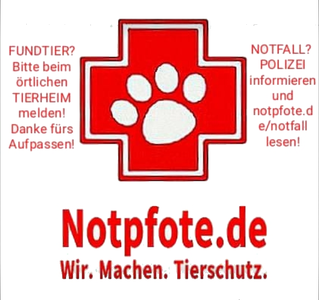 Tier-Notruf und Erste Hilfe bei Fundtieren